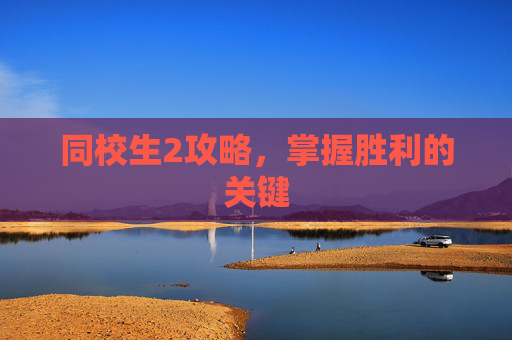 同校生2攻略，掌握胜利的关键