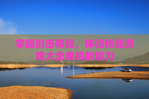 掌握射击精髓，体验枪战游戏大全单机的魅力