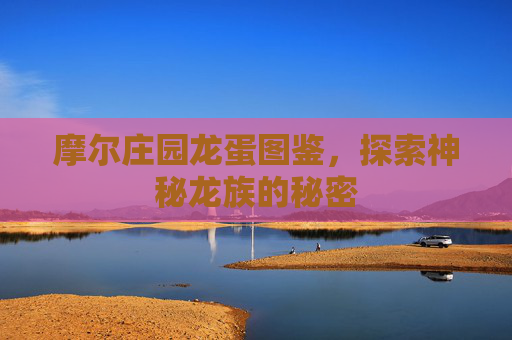 摩尔庄园龙蛋图鉴，探索神秘龙族的秘密
