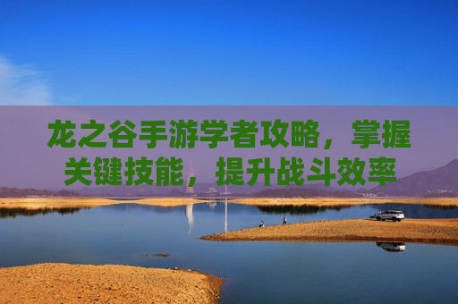 龙之谷手游学者攻略，掌握关键技能，提升战斗效率