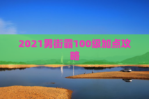 2021男街霸100级加点攻略