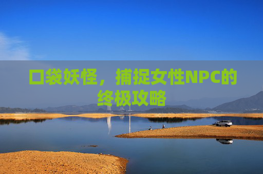 口袋妖怪，捕捉女性NPC的终极攻略