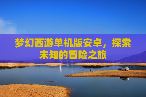 梦幻西游单机版安卓，探索未知的冒险之旅