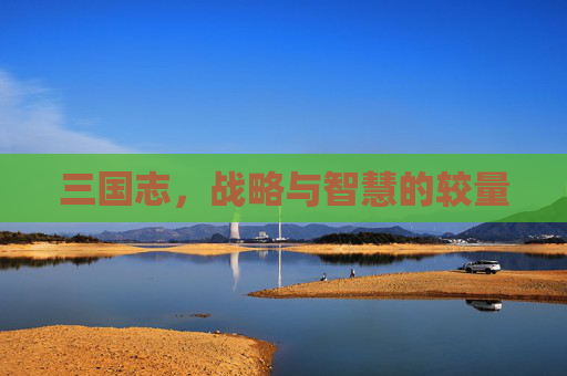 三国志，战略与智慧的较量