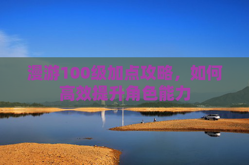 漫游100级加点攻略，如何高效提升角色能力