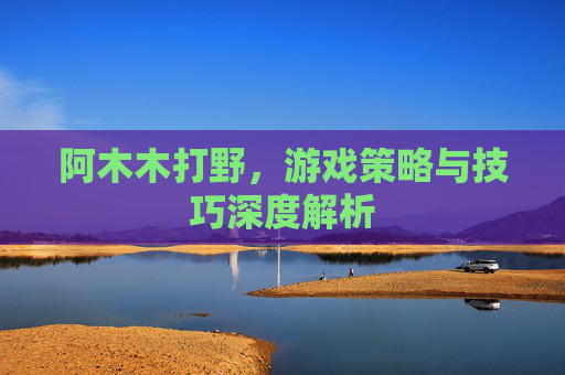阿木木打野，游戏策略与技巧深度解析