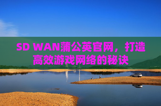 SD WAN蒲公英官网，打造高效游戏网络的秘诀