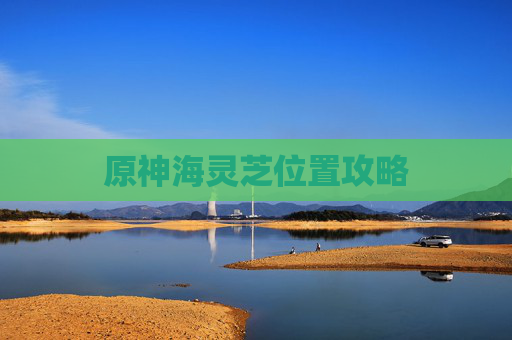 原神海灵芝位置攻略