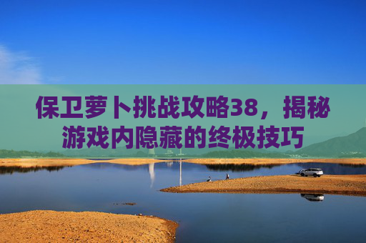 保卫萝卜挑战攻略38,揭秘游戏内隐藏的终极技巧 保卫萝卜挑战攻略38,揭秘游戏内隐藏的终极技巧
