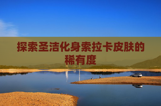 探索圣洁化身索拉卡皮肤的稀有度