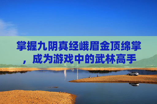 掌握九阴真经峨眉金顶绵掌，成为游戏中的武林高手