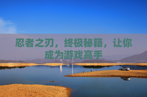 忍者之刃，终极秘籍，让你成为游戏高手
