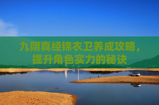 九阴真经锦衣卫养成攻略，提升角色实力的秘诀