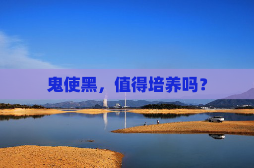 鬼使黑，值得培养吗？