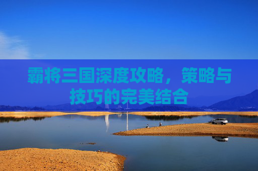 霸将三国深度攻略，策略与技巧的完美结合