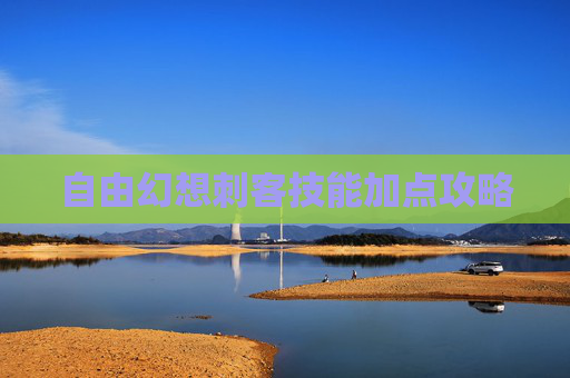 自由幻想刺客技能加点攻略