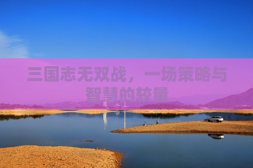 三国志无双战，一场策略与智慧的较量