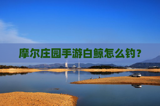 摩尔庄园手游白鲸怎么钓？