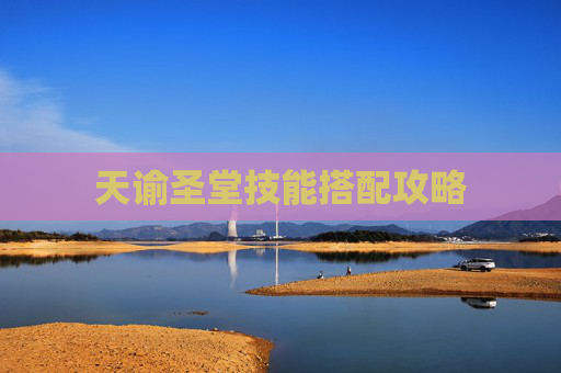 天谕圣堂技能搭配攻略