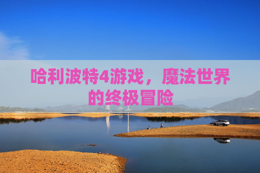 哈利波特4游戏，魔法世界的终极冒险