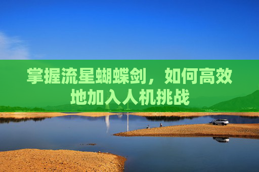 掌握流星蝴蝶剑，如何高效地加入人机挑战