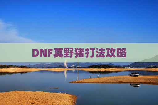 DNF真野猪打法攻略