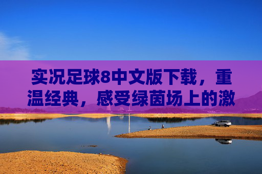 实况足球8中文版下载，重温经典，感受绿茵场上的激情与策略