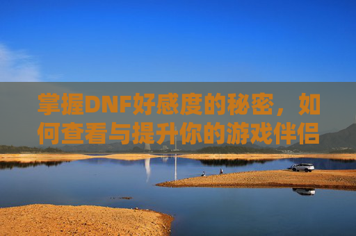 掌握DNF好感度的秘密，如何查看与提升你的游戏伴侣