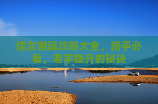 倩女幽魂攻略大全，新手必看，老手提升的秘诀
