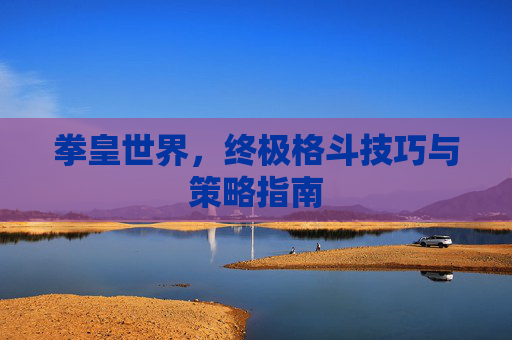 拳皇世界，终极格斗技巧与策略指南