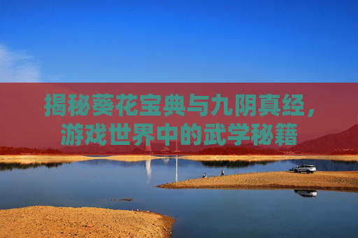 揭秘葵花宝典与九阴真经，游戏世界中的武学秘籍