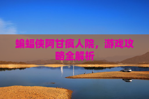 蝙蝠侠阿甘疯人院，游戏攻略全解析