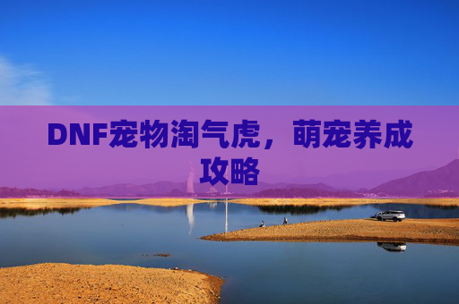 DNF宠物淘气虎，萌宠养成攻略