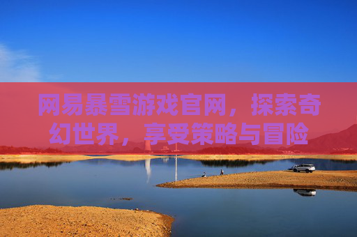 网易暴雪游戏官网，探索奇幻世界，享受策略与冒险