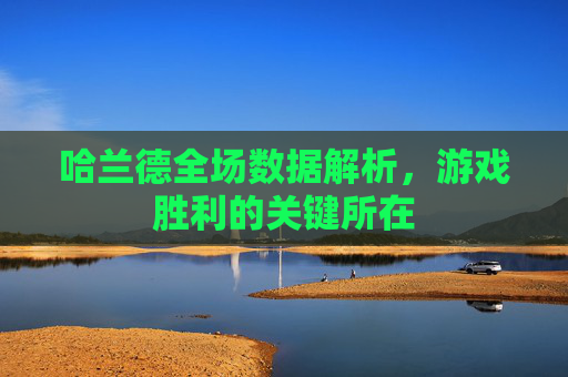 哈兰德全场数据解析，游戏胜利的关键所在