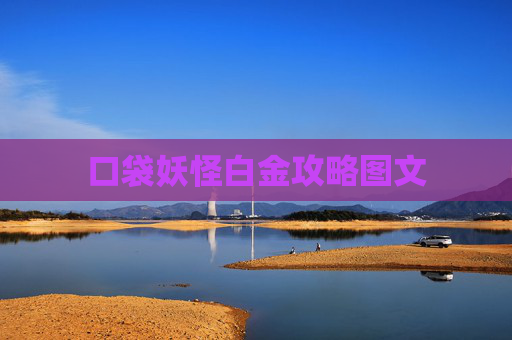 口袋妖怪白金攻略图文