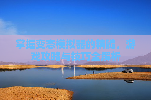掌握变态模拟器的精髓，游戏攻略与技巧全解析