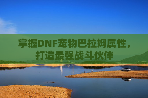 掌握DNF宠物巴拉姆属性，打造最强战斗伙伴