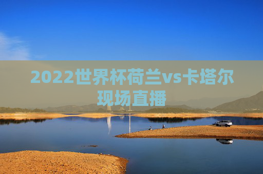 2022世界杯荷兰vs卡塔尔现场直播