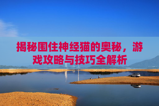 揭秘围住神经猫的奥秘，游戏攻略与技巧全解析