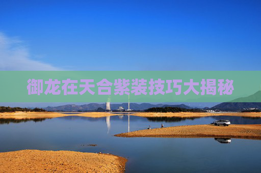 御龙在天合紫装技巧大揭秘