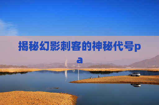揭秘幻影刺客的神秘代号pa