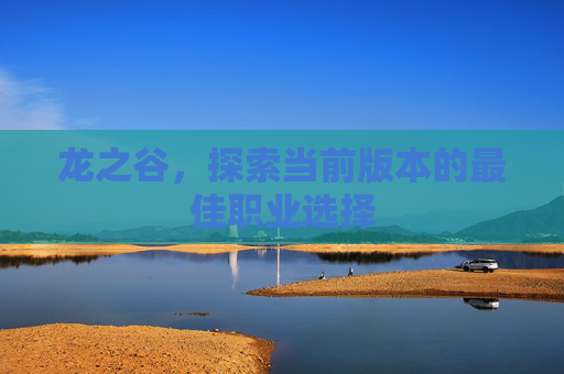龙之谷，探索当前版本的最佳职业选择