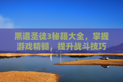 黑道圣徒3秘籍大全，掌握游戏精髓，提升战斗技巧