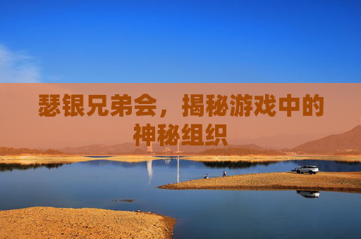 瑟银兄弟会，揭秘游戏中的神秘组织