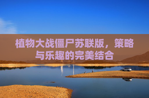 植物大战僵尸苏联版，策略与乐趣的完美结合