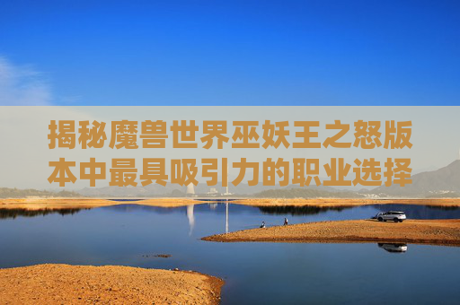 揭秘魔兽世界巫妖王之怒版本中最具吸引力的职业选择
