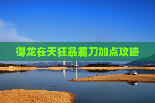 御龙在天狂暴霸刀加点攻略