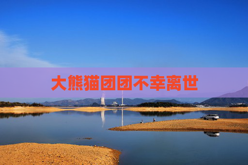 大熊猫团团不幸离世
