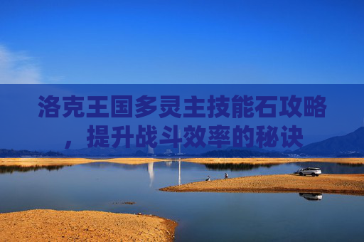 洛克王国多灵主技能石攻略，提升战斗效率的秘诀